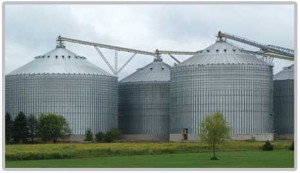 Big Bin Grain System